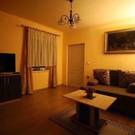 Hbr Friendly Apartment Сігішоара Екстер'єр фото