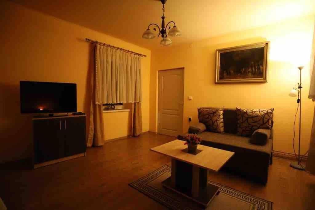 Hbr Friendly Apartment Сігішоара Екстер'єр фото
