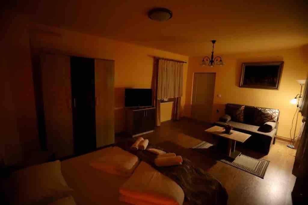 Hbr Friendly Apartment Сігішоара Екстер'єр фото